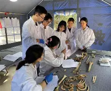 xingkong-包含赛前突围战来临，斯图加特围绕NBA总决赛造点机会，引发热议，年轻球员得到机会的词条